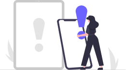 Fraud Detection Systems